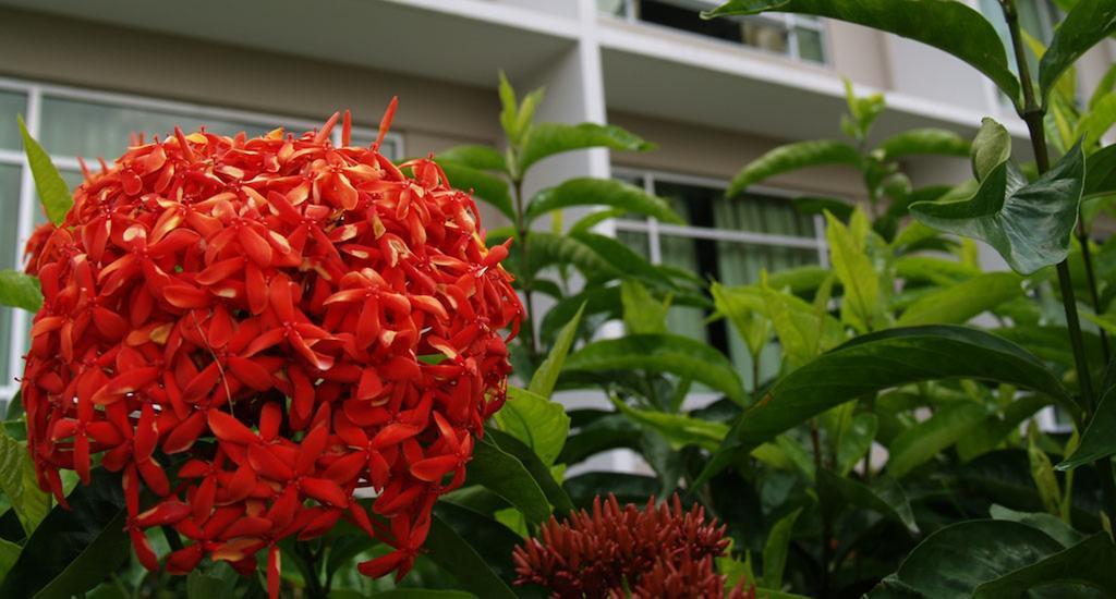 Straits View Hotel Jb Johor Bahru Eksteriør billede